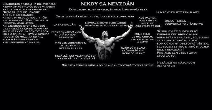 nevzdam sa